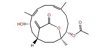 Sinulaflexiolide J